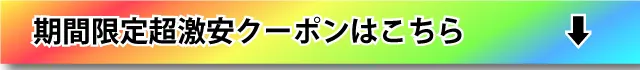 期間限定超激安はこちら